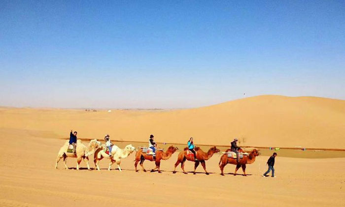 朔州夏令營哪家好