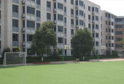 學(xué)生黨來看英語閱讀小技巧有哪些？