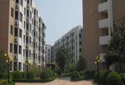 讓我們相聚上海，感受大都市魅力