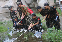樂山小學夏令營哪個機構好？