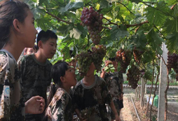 四川暑期夏令營給孩子一個精彩的暑假