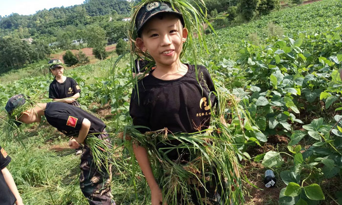 四川研學(xué)夏令營(yíng)多少錢