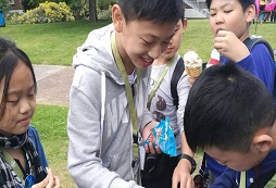 新加坡游學夏令營有什么特色課程？