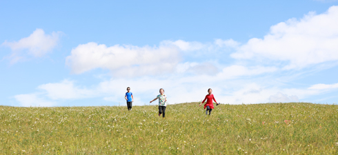馳騁草原這里有野花野草