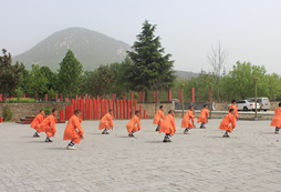 團(tuán)隊(duì)武術(shù)訓(xùn)練