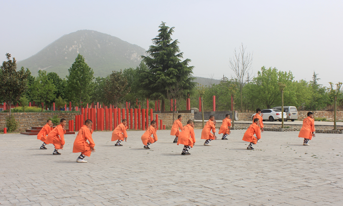 團隊武術(shù)訓練
