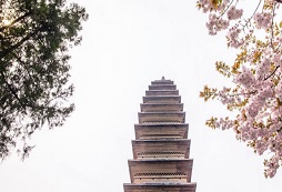 河南少林夏令營有什么作用？
