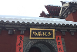 少林禪武夏令營適合多大的孩子