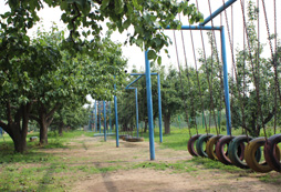 軍事拓展訓(xùn)練環(huán)境