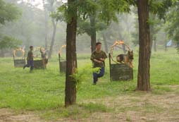 軍事夏令營的點點滴滴