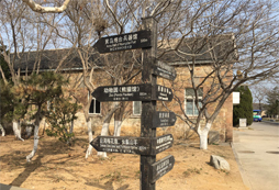 孩子青春期叛逆可以參加帆船帆板夏令營(yíng)嗎？