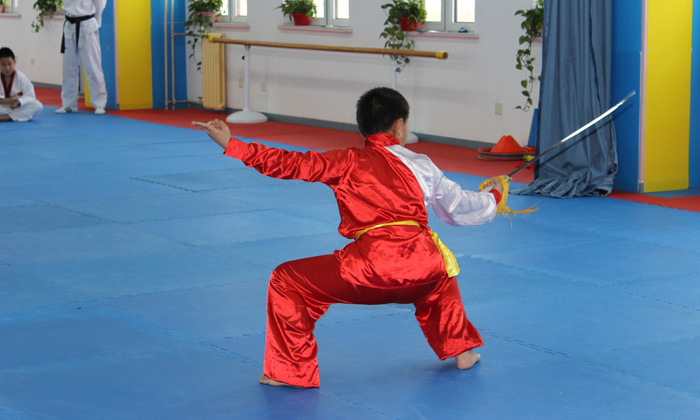 中華武術(shù)訓(xùn)練