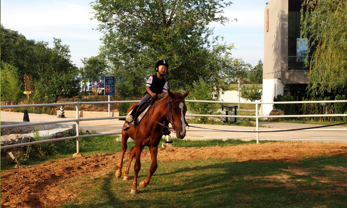 蘇州拓展夏令營去哪些地方好