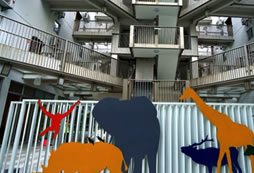 宿舍樓的環(huán)境