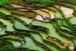 臺(tái)北游學(xué)夏令營如何保障營員的安全？