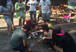 為什么臺(tái)北夏令營如此受歡迎？