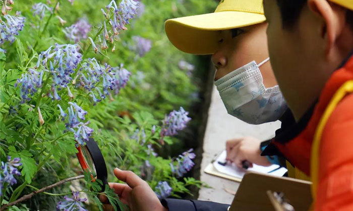 探索發(fā)現(xiàn)夏令營價格