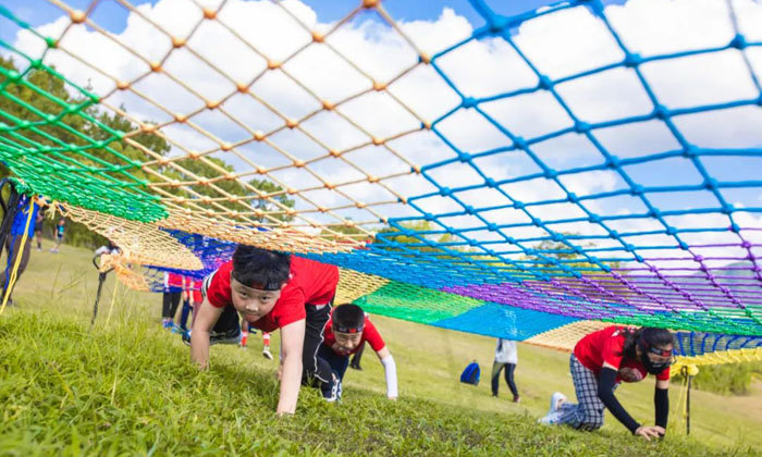 探索發(fā)現(xiàn)夏令營價格