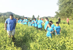 體能訓(xùn)練夏令營活動(dòng)參加好不好？