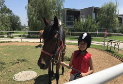 參加騎馬夏令營學(xué)習(xí)騎馬的最佳年齡是多大？