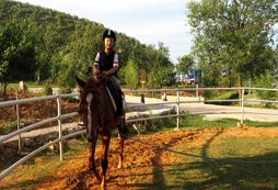 小朋友參加騎馬夏令營危險嗎？