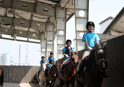 火爆的馬術(shù)夏令營讓孩子感受無窮樂趣