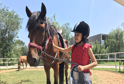 可以周末參加的騎馬夏令營一節(jié)課多少錢？