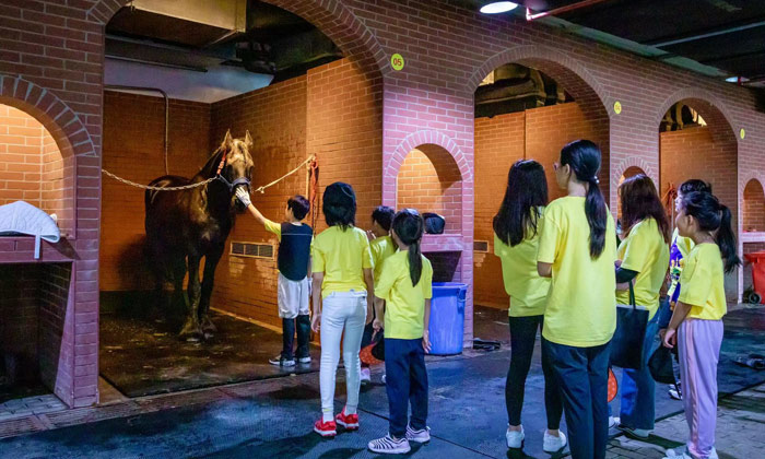 體育夏令營報名多少錢