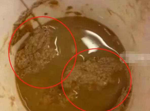 痛快！給女同學下藥的男生被上外開除，品行不端的「學霸」，比純粹的壞人更可怕