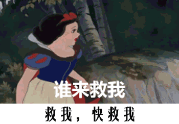 640 (6).gif