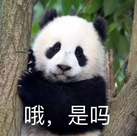 家庭中最應(yīng)該富養(yǎng)的是妻子而不是孩子！