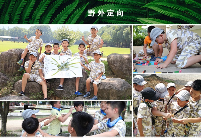 02be5b23ccf869c4ea8a08d89d646959.jpg
