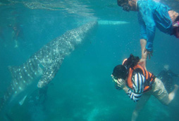 戶外拓展夏令營讓孩子學(xué)會自救！