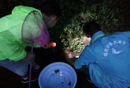 戶外夏令營給孩子難得的體驗(yàn)