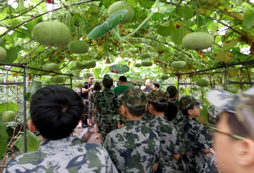  軍事拓展夏令營幫助青少年改善不良習慣