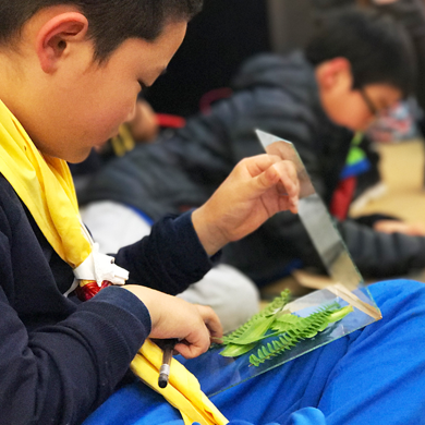 萬寧游學(xué)夏令營讓孩子度過充實(shí)的假期生活