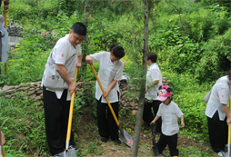 青少年武術(shù)夏令營的活動方案