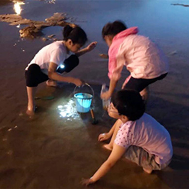 威海拓展夏令營培養(yǎng)孩子的團(tuán)隊(duì)合作精神