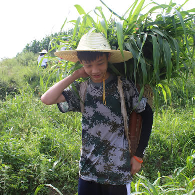 這個(gè)夏天，威寧軍事夏令營讓您告別孤單的生活