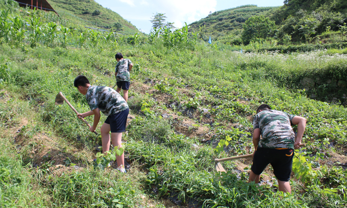 中學(xué)生文化夏令營報名多少錢