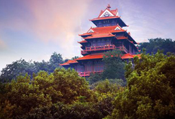 在游學(xué)過程中拍攝的美麗景色