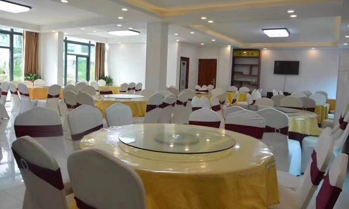  維和童軍精彩回顧介紹