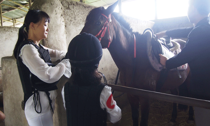 武漢夏令營(yíng)哪家比較好