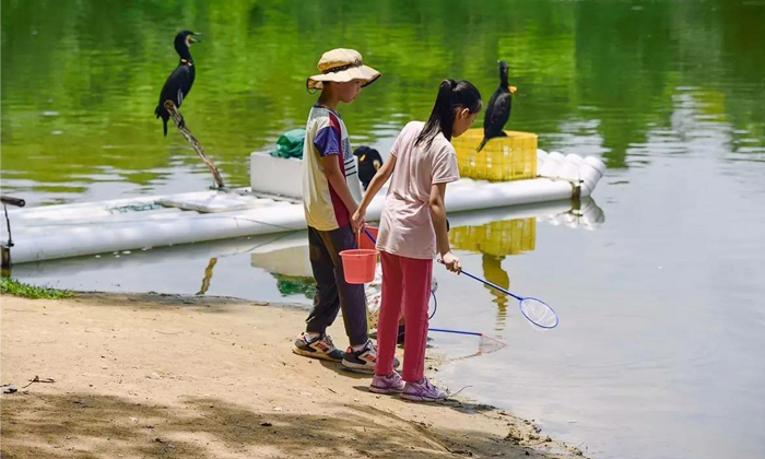 武漢夏令營怎么樣