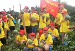 武漢小學(xué)生夏令營(yíng)怎么樣