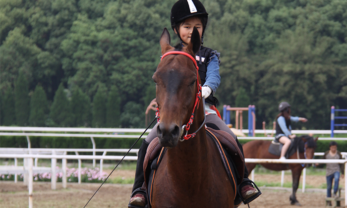武漢體育夏令營