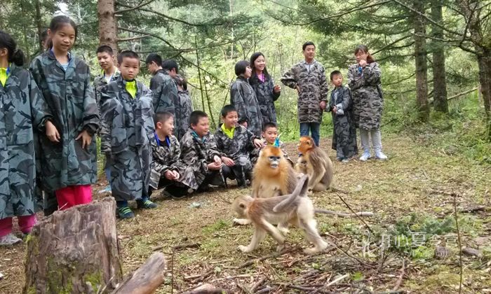 2018武漢武術(shù)夏令營