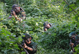 蕪湖夏令營活動好不好？