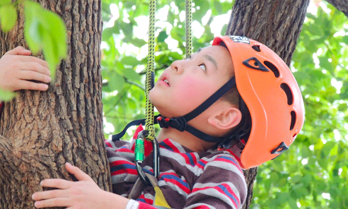 烏魯木齊夏令營(yíng)哪家正規(guī)