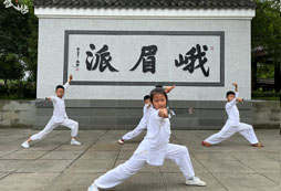 武術(shù)夏令營帶給孩子的收獲有哪些